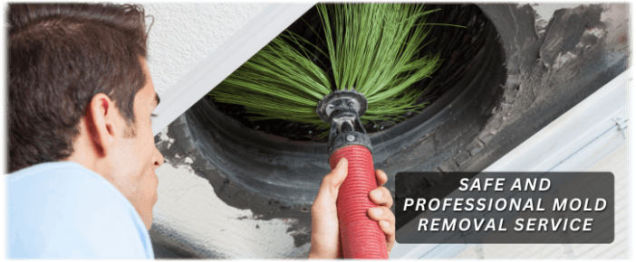 Air Duct Mold Removal in Livonia