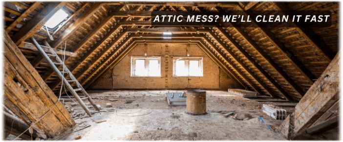 Attic Cleaning Livonia