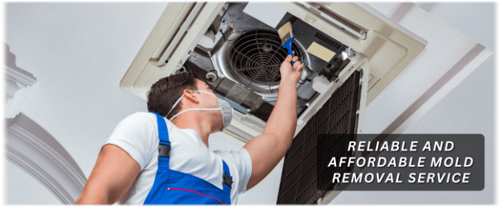 HVAC Mold Removal Livonia